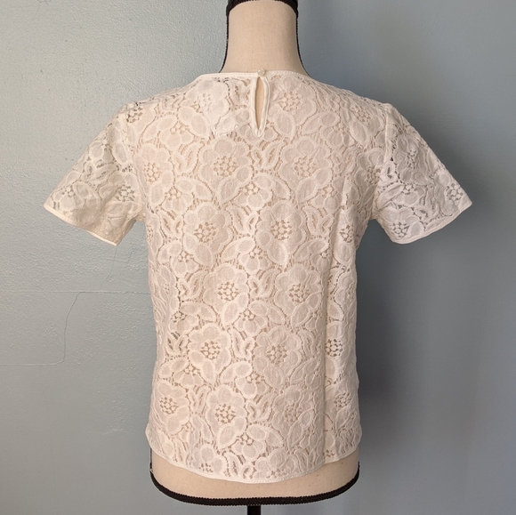 NWT Lace LOFT short sleeve top - Picture 3 of 6